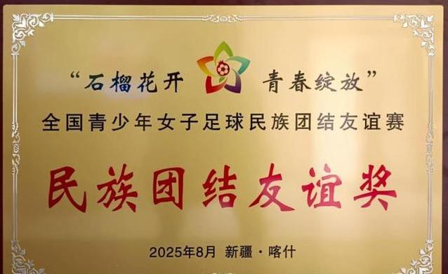 msn, 下展现的友, 家庭怎么用 msn, 下展现的友, 家庭怎么用