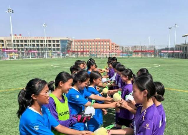 只是踢球 只是踢球