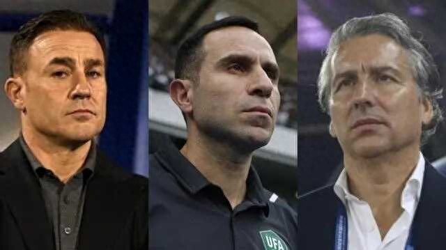 加西亚适应, 录用国内教